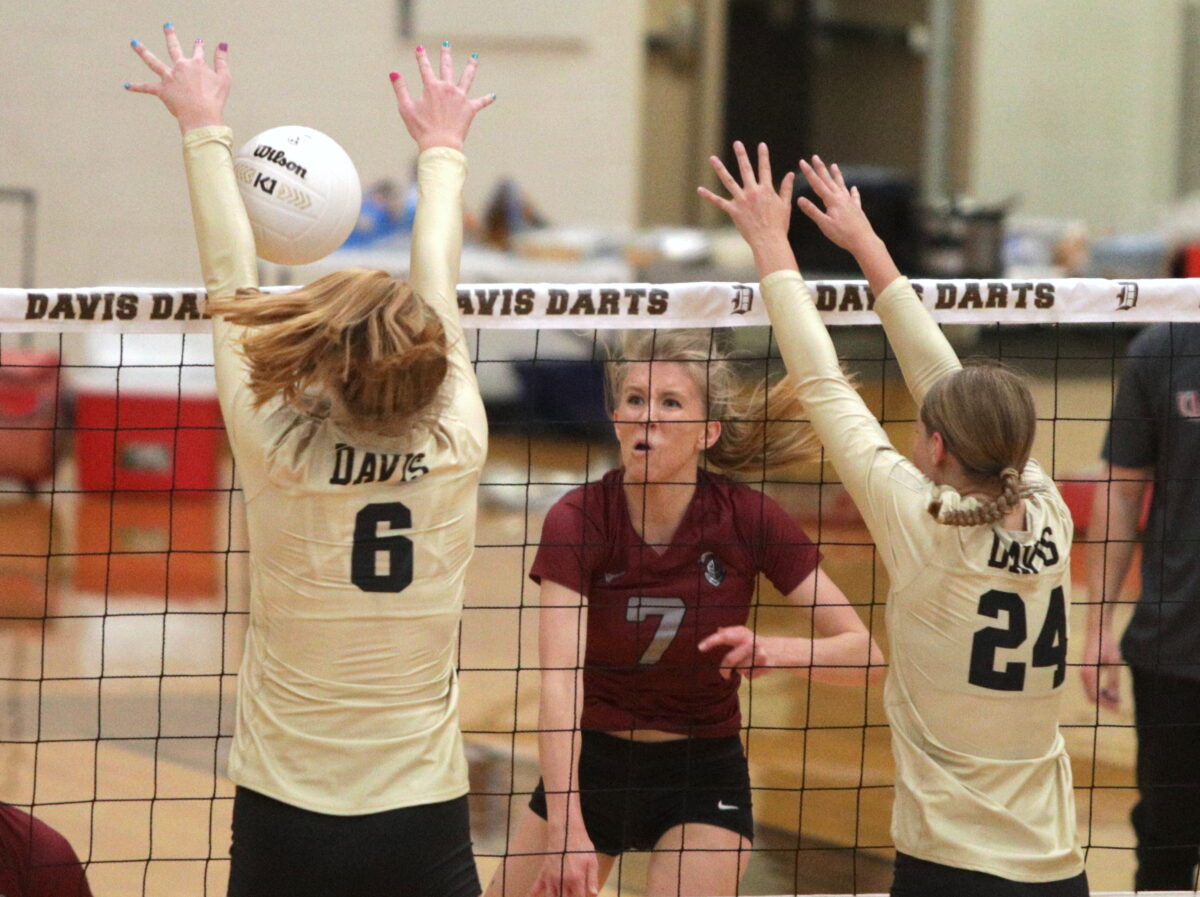 2022 StandardExaminer AllArea Volleyball Honorable Mentions News, Sports, Jobs Standard